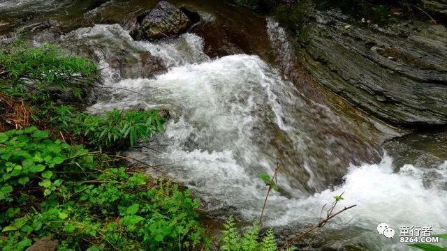 组装机械恐龙3